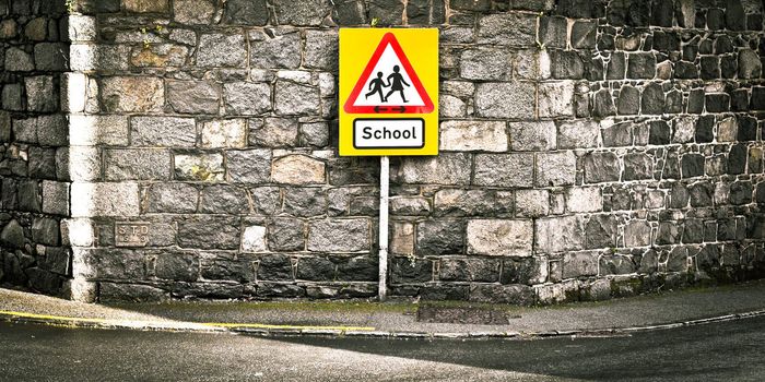 Warning sign for a school on a roadside