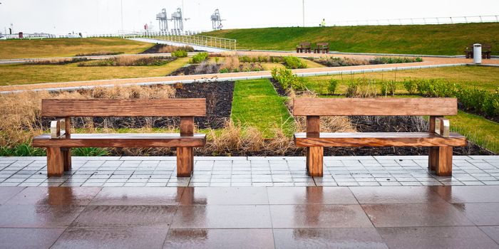 Two wooden benches in a modern garden