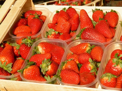 Detail of strawberries in plastic boxes on a market counter