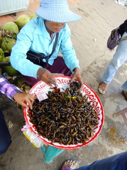 Woman selling fried insects, Cambodia