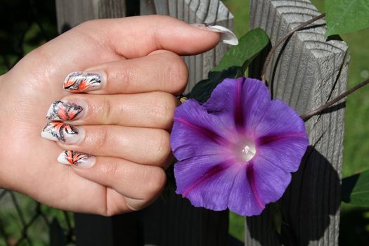 Beautiful female hands with manicure  