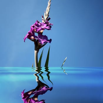 Beautiful purple gladiolas on a blue background