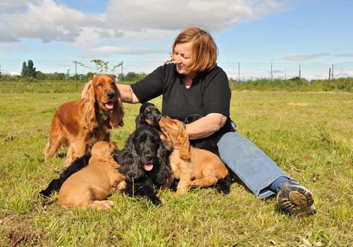 old woman and family spaniel cocker in a garden