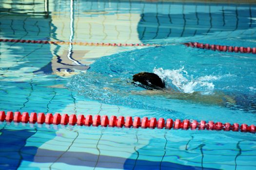 man swims in swimming pool