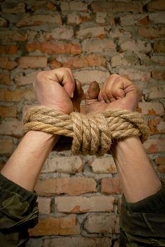 Hands tied up with rope against brick wall