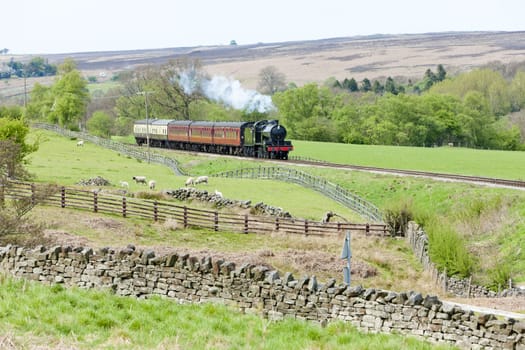 steam train, North Yorkshire Moors Railway (NYMR), Yorkshire and the Humber, England