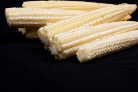 Baby corn  isolated on black background