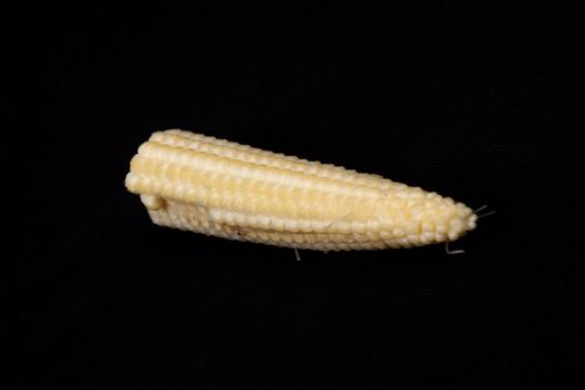 Baby corn  isolated on black background