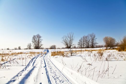 Winter landscape with snow. Russian winter