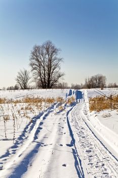 Winter landscape with snow. Russian winter.