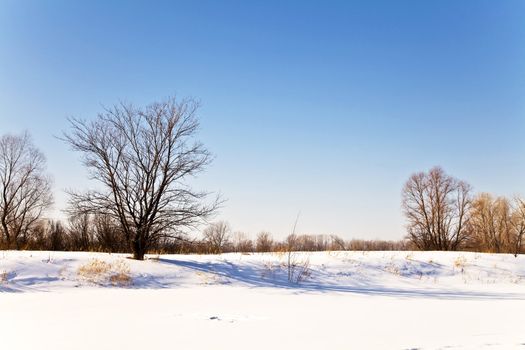 Winter landscape with snow. Russian winter