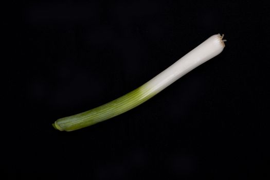 Fresh baby  leek on isolated on a black background