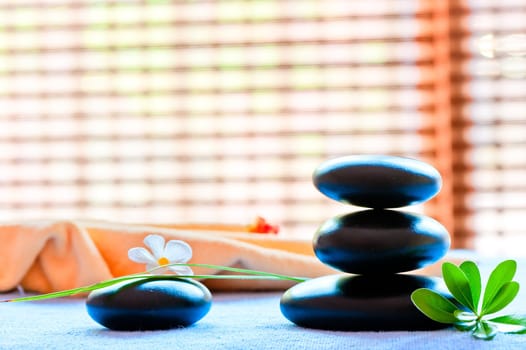 Still life with a black stone and a flower in the style of zen-like