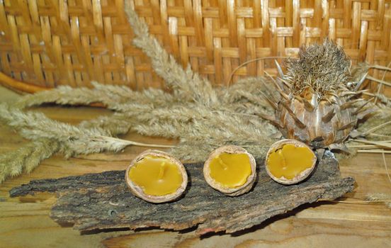 beeswax and walnut shell floating candles votives