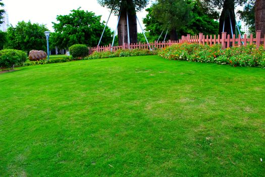 Peaceful Garden Scene in Autumn