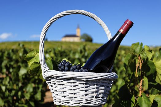 bottle of red wine and grappes in basket in France