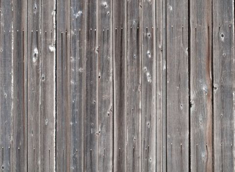 Wooden board textured surface with small details