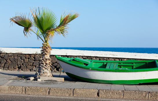 Boat and palm on the coast. Lanzarote, Canary, Spaine