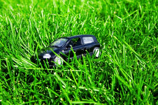 toy car in green grass in a summer day