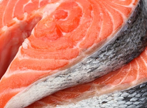 raw fillet of fresh salmon fish