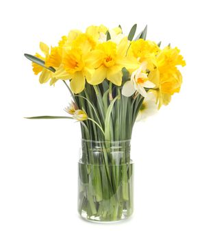 narcissus flower bouquet