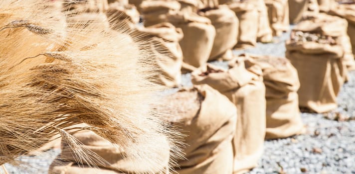 Wheat sacks during a sunny day in a warm  summer season