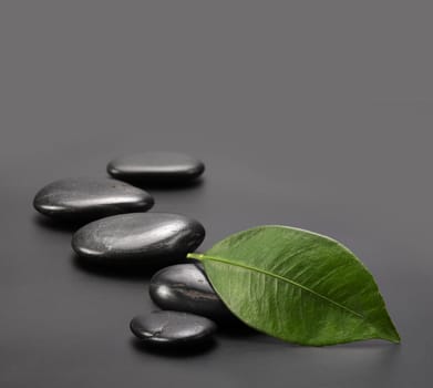 stones with green leaf