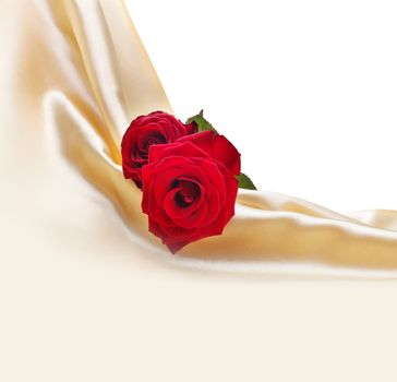 red roses on silk background