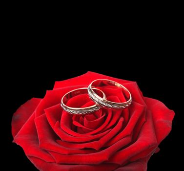 wedding rings and on a red roses