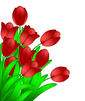 Bunch of Red Tulips Flowers in Spring Illustration Isolated on White Background