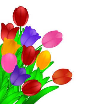 Bunch of Colorful Tulips Flowers in Spring Illustration Isolated on White Background