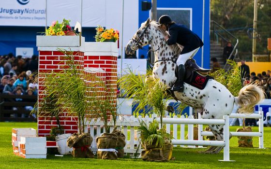 MONTEVIDEO , URUGUAY - SEP 12 : Participant in the horse show at the annul exhibition "Expo Prado", on September 12 2010 in Montevideo Uruguay ,it is the most important rural exhibition of Uruguay