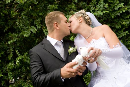 two white pigeons in hands of bride and groom