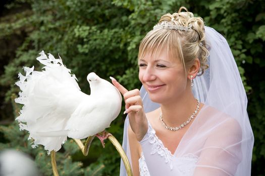bride touching a white pigeon