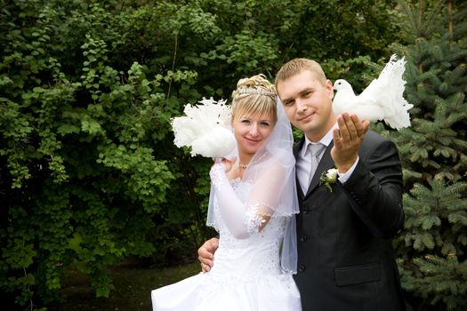 two white pigeons in hands