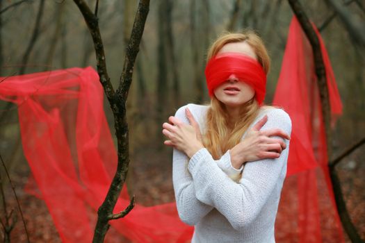 An image of blindfolded nice woman in the forest