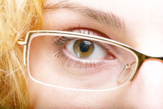 An image of brown eye in glasses
