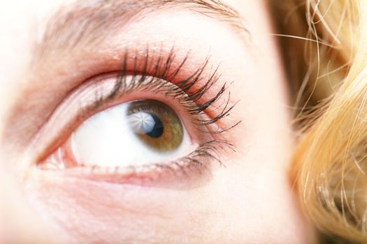 An image of a brown eye close-up