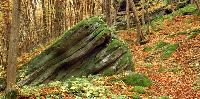 AN image of old stone in forest