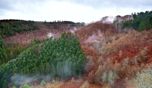 view on colorful mountains with fog