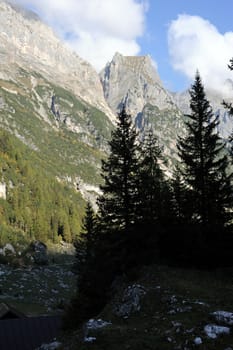 An image of mountains and fir-trees in Italy