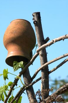 An image of jug on a weaved fence