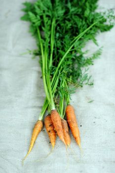 An image of a group of fresh orange carrots