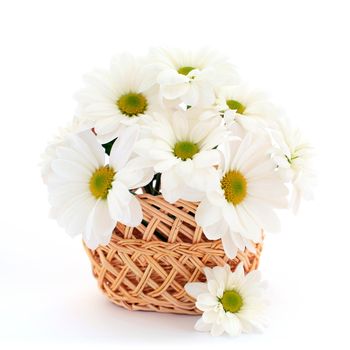 An image of white flowers in a basket