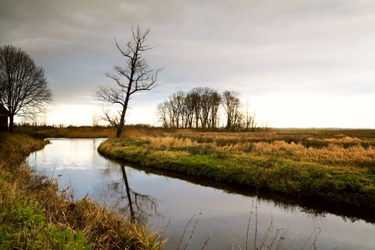 view on river with lonely tree and dark sky