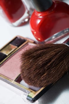 Cosmetic theme: an image of a brush and blush