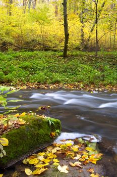 An image of blue river in forest