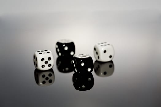 Four dice reflecting on surface.