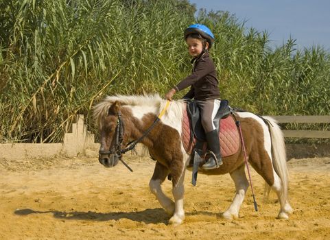 young girl and her best friend white shetland pony