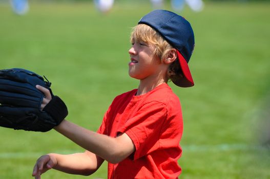 Young boy catching a baseball wearing hat backwards.